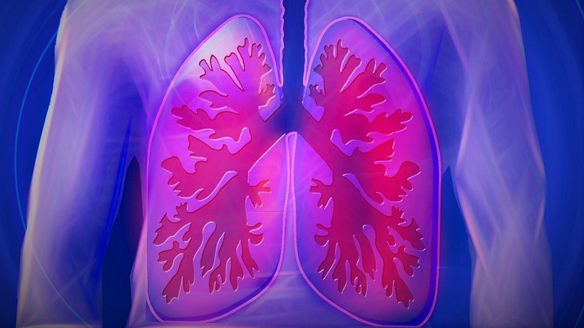 a new 3d human lung model to shed light on respiratory diseases a new 3d human lung model to shed light on respiratory diseases