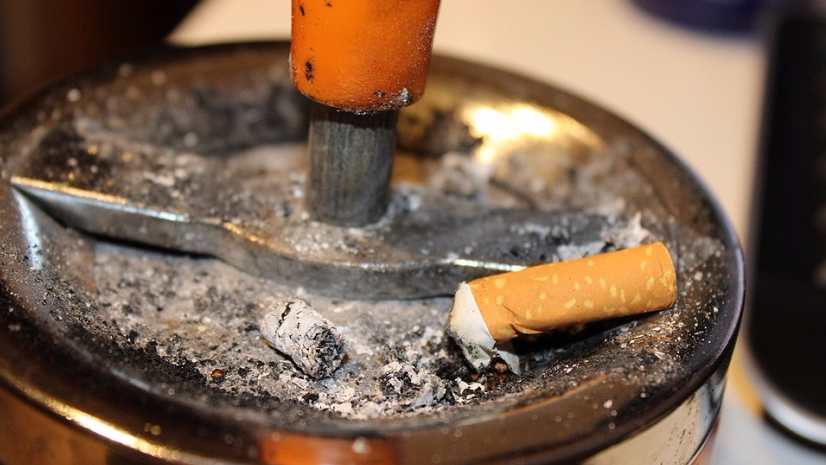 cigarette butts to eliminate mosquitoes?