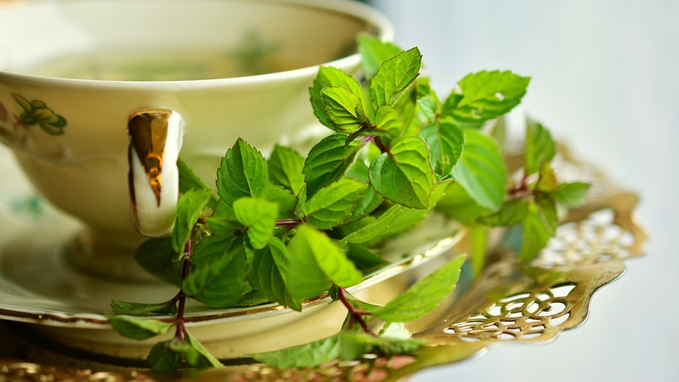 when is the best time to consume green tea
