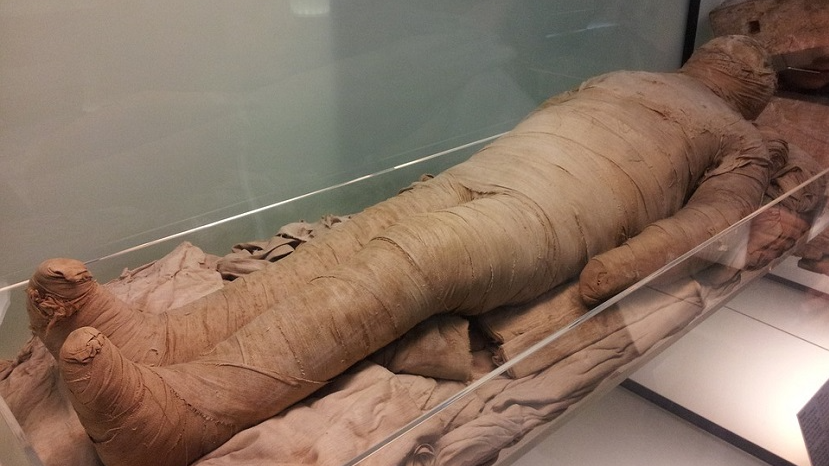 ancient mummy