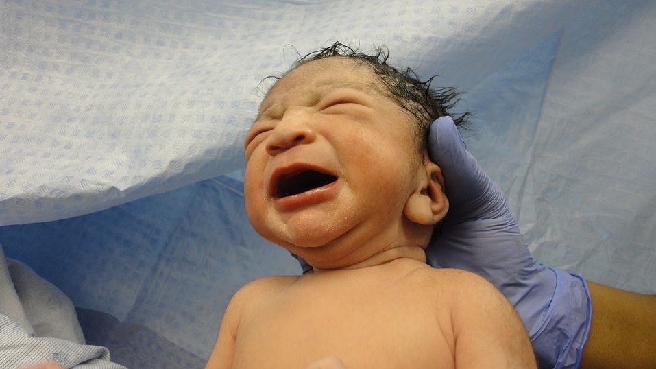 stressed newborns feel more pain, but don