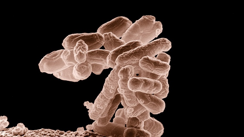 new nano fibre material may prevent infectious diseases new nano fibre material may prevent infectious diseases