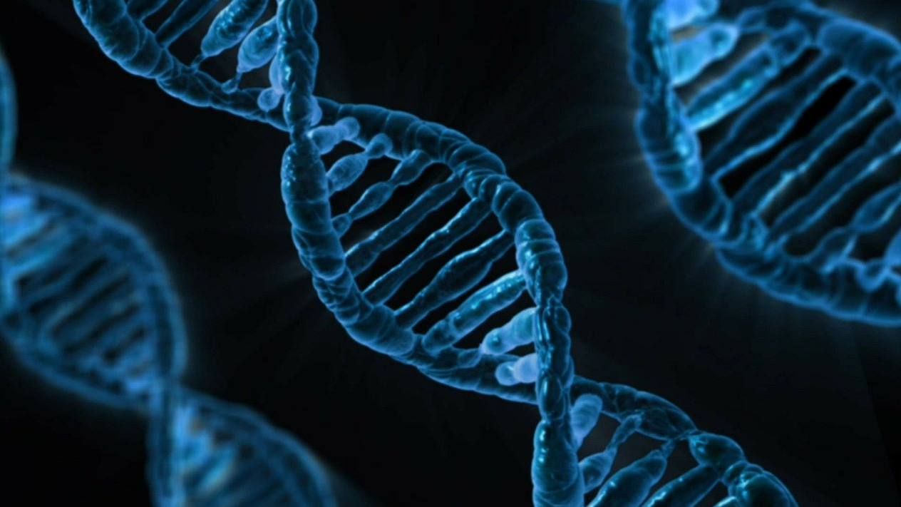 10 labs across india to monitor genomic changes in new mutant coronaviruses 10 labs across india to monitor genomic changes in new mutant coronaviruses
