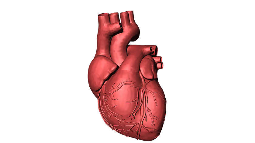 understanding heart diseases

