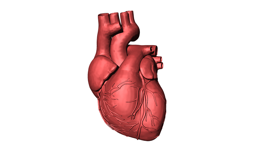 understanding heart diseases
understanding heart diseases