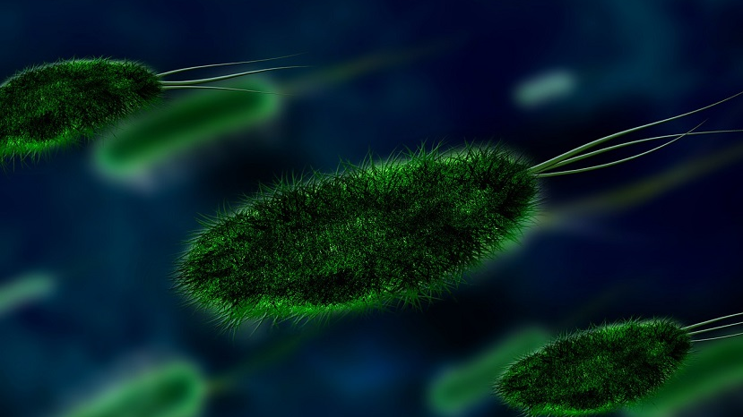 crowdsourcing friendly bacteria helps superbug cause infection