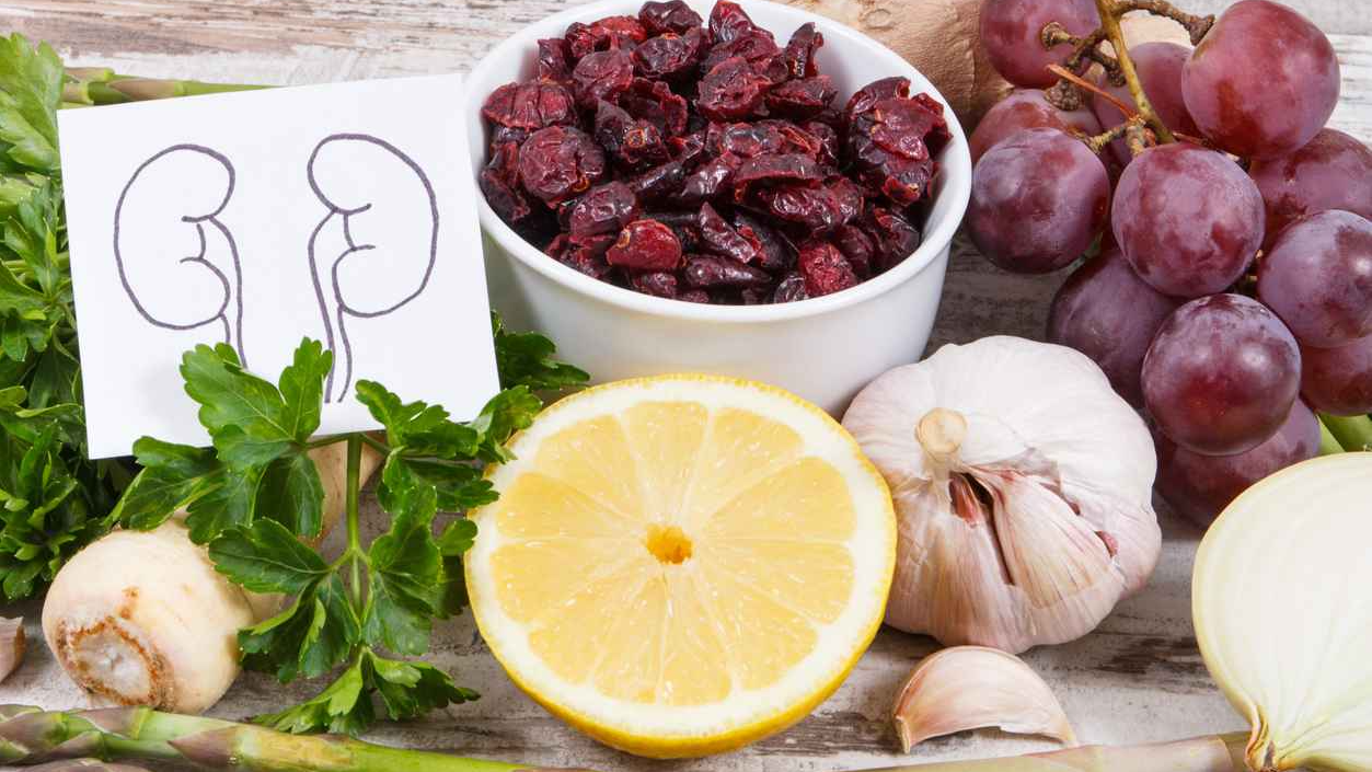 world kidney day: the foods that help you keep your kidneys healthy
world kidney day: the foods that help you keep your kidneys healthy