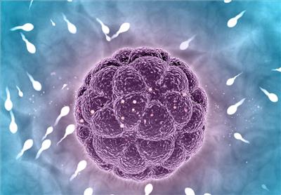 Embryoscope technology reshaping IVF: A breakthrough in fertility treatment